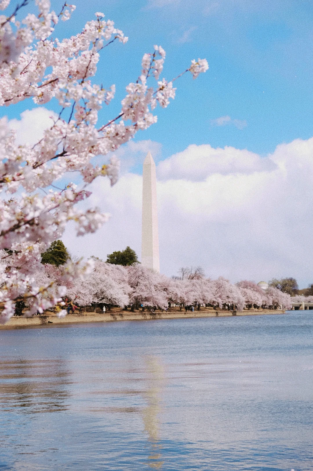 📸2021-2022最喜欢的18张图存档