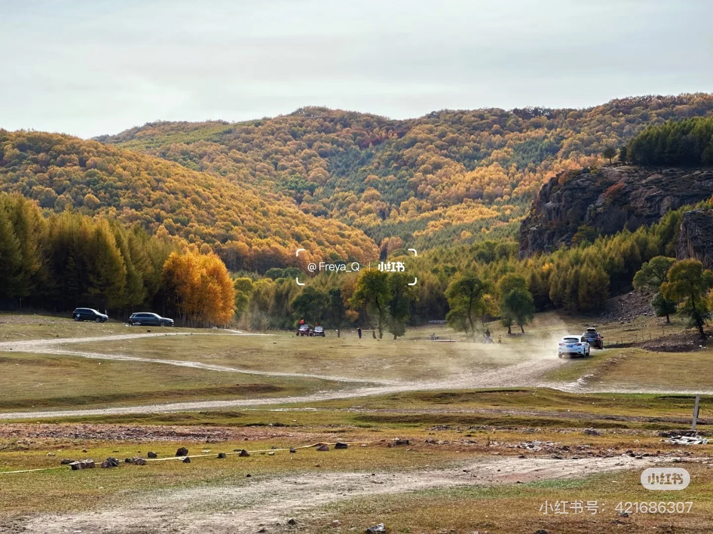 天津周边游|牛马们十一反向出行就选这条路!