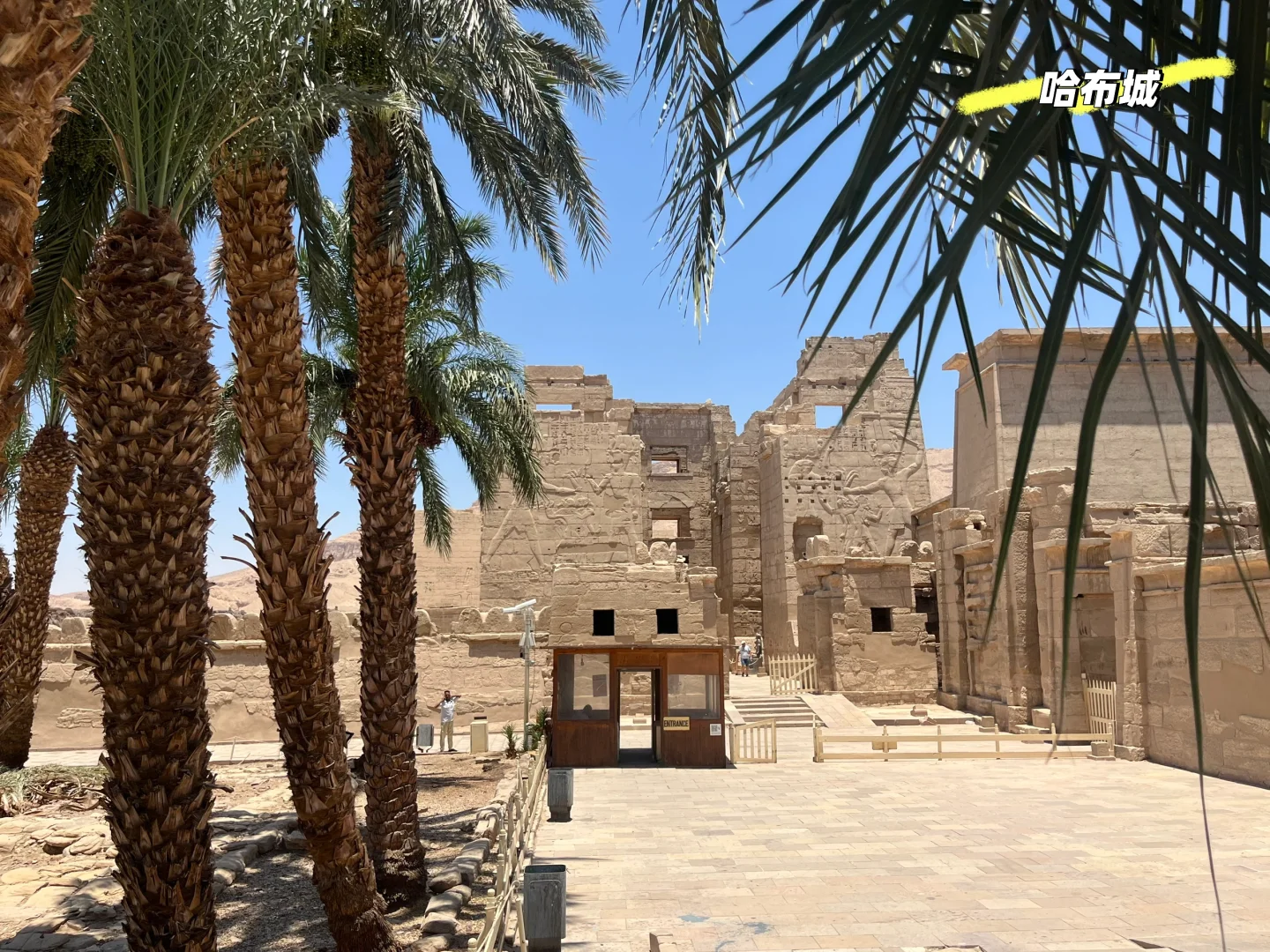 埃及8天4城自由行攻略（附简洁文字版）