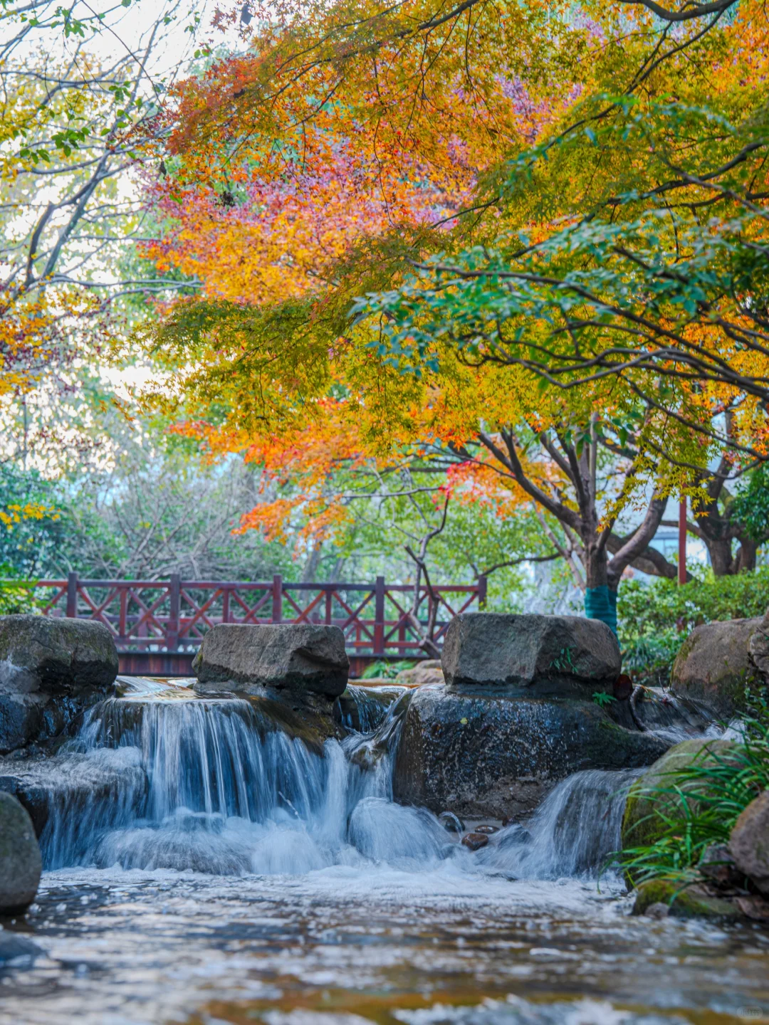 接下来，杭州堪称国内旅行的天花板‼️