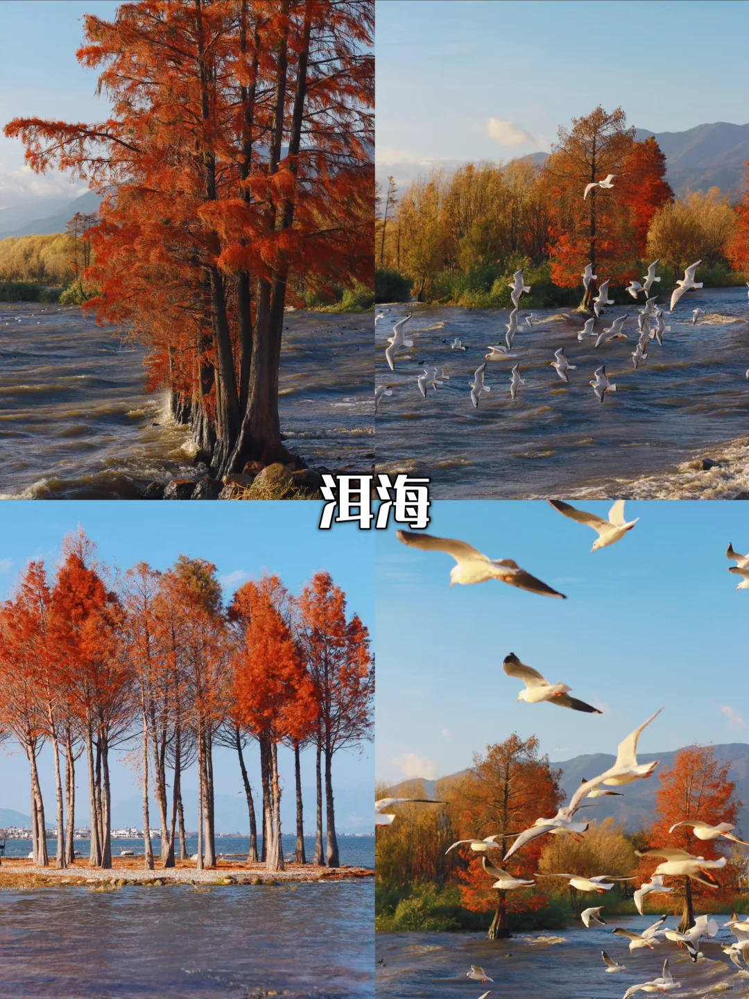 2025 国庆云南全攻略｜昆大丽一次玩遍🥁