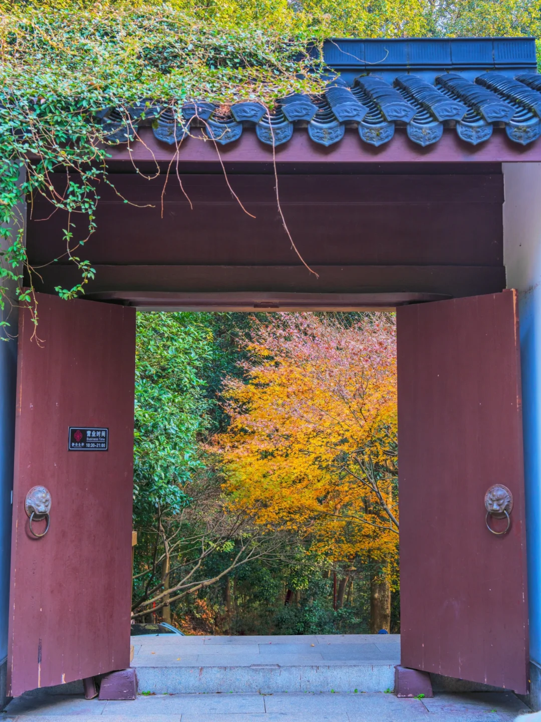 接下来，杭州堪称国内旅行的天花板‼️