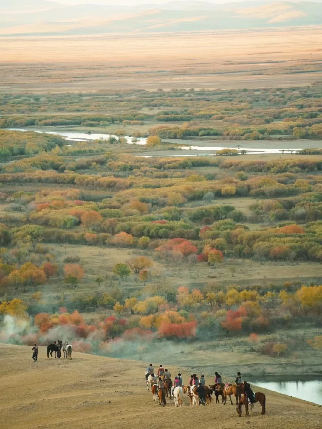 在呼伦贝尔见到了人生中最盛大的秋天🍂