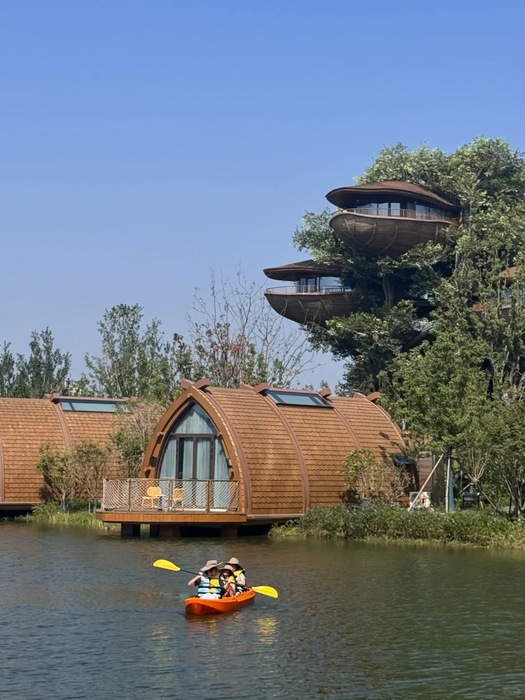 不是新西兰，是武汉，住进森林🌳树屋🛖