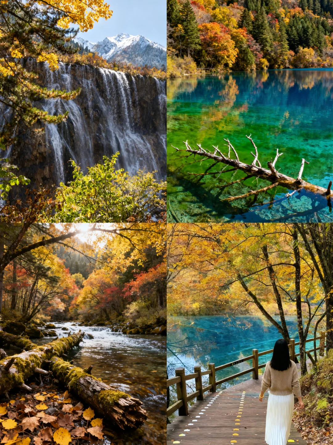 九寨沟秋日限定路线‼️五彩斑斓机位分享