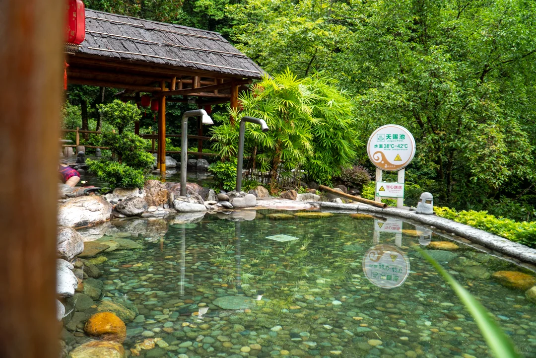 住进森林里!龙胜温泉景区酒店实测