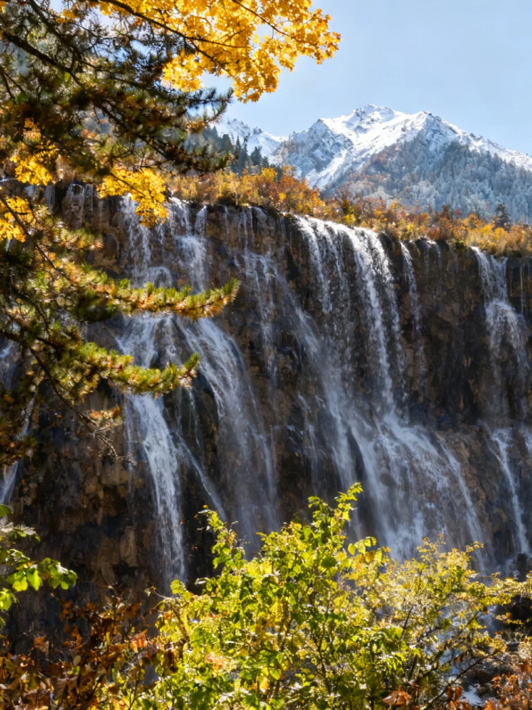 九寨沟秋日限定路线‼️五彩斑斓机位分享
