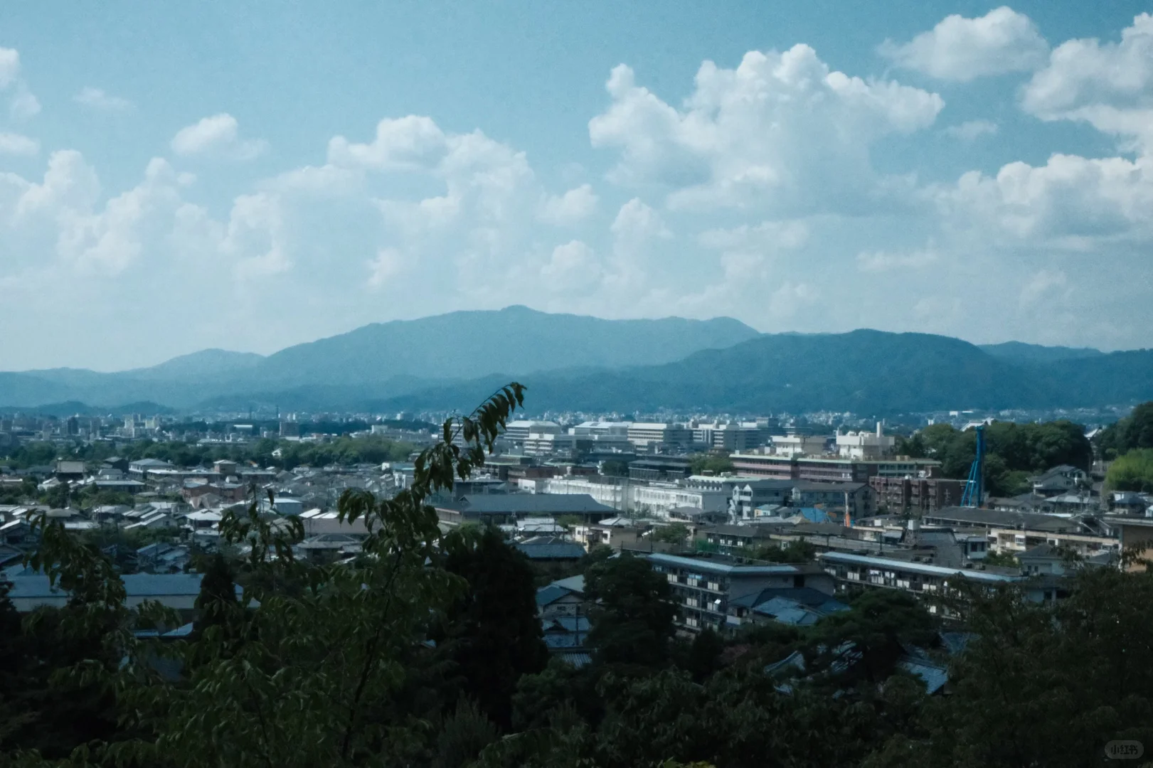 看似chill实则半天跑了四个景点的Kyoto