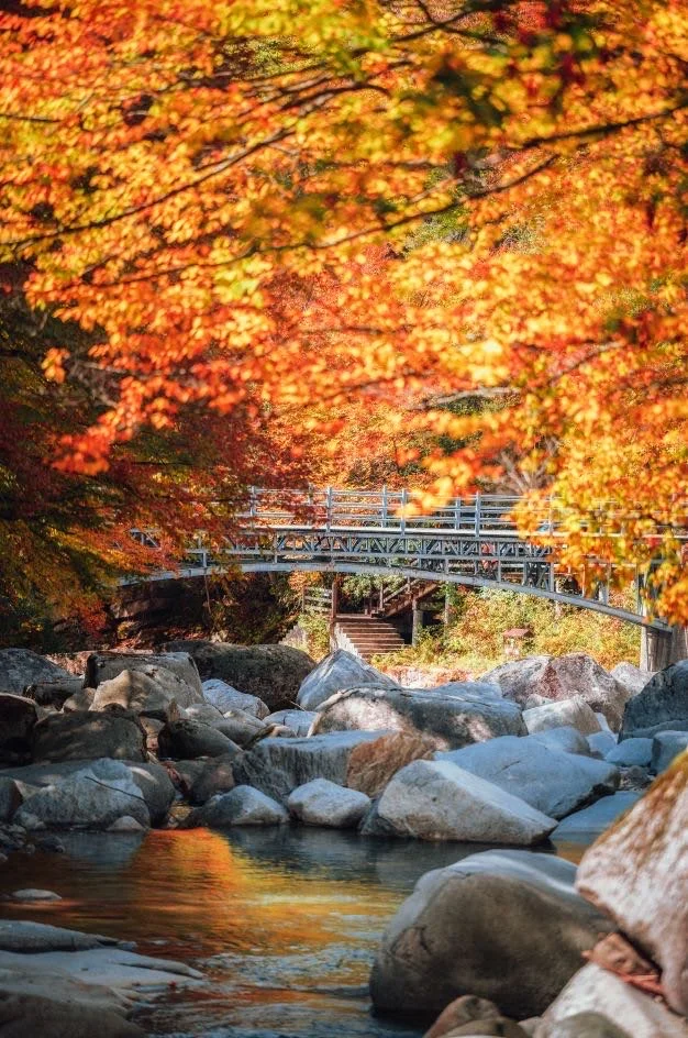 光雾山红叶🍁全攻略！看这一篇就够了