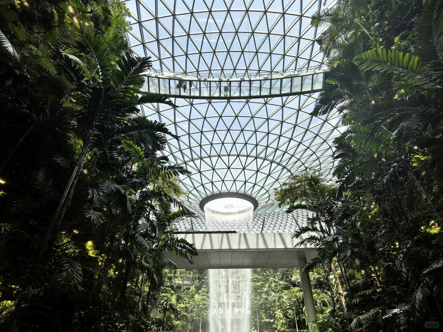 🌏 新加坡🇸🇬旅游攻略（1）