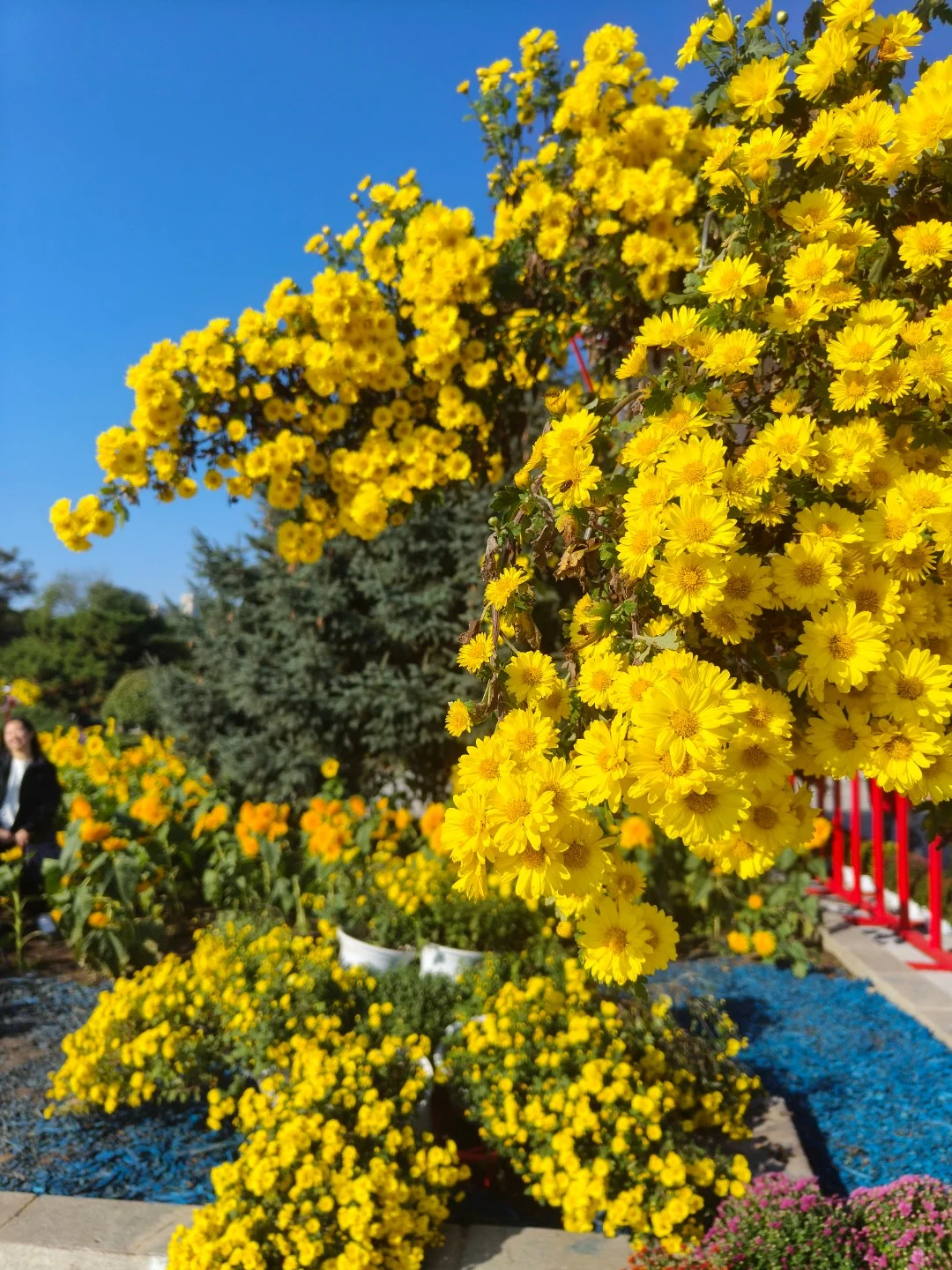 谁懂南方人第一次去沈阳的震撼感？