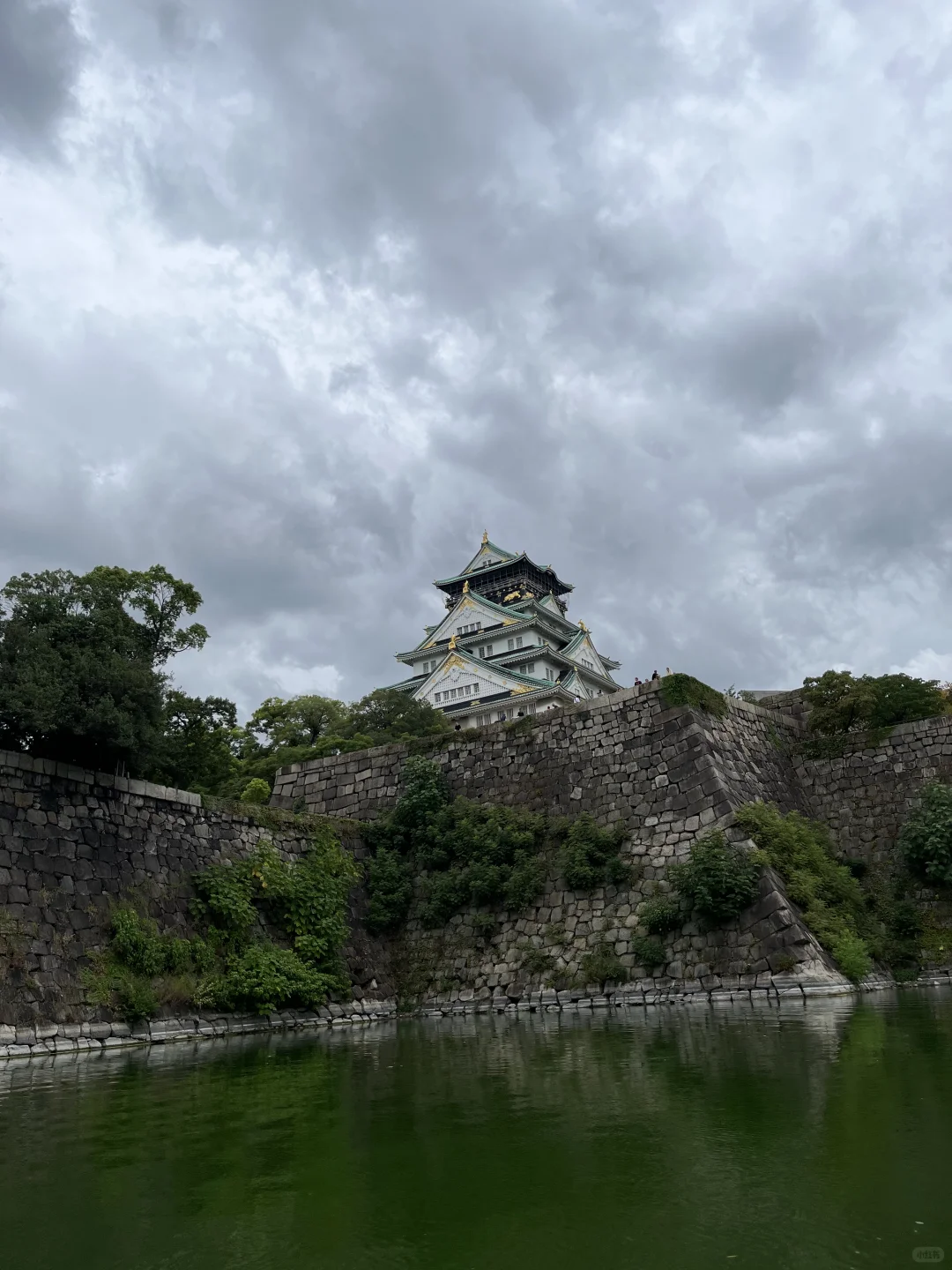 研0首次出国7天6晚一人关西之旅|附攻略开销