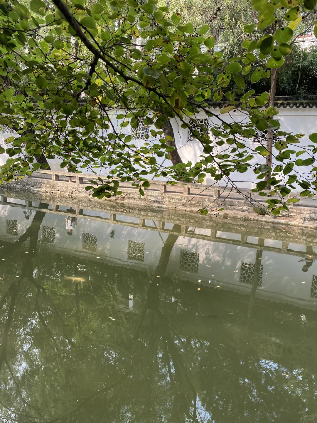 上海苏州往返一日游之放空