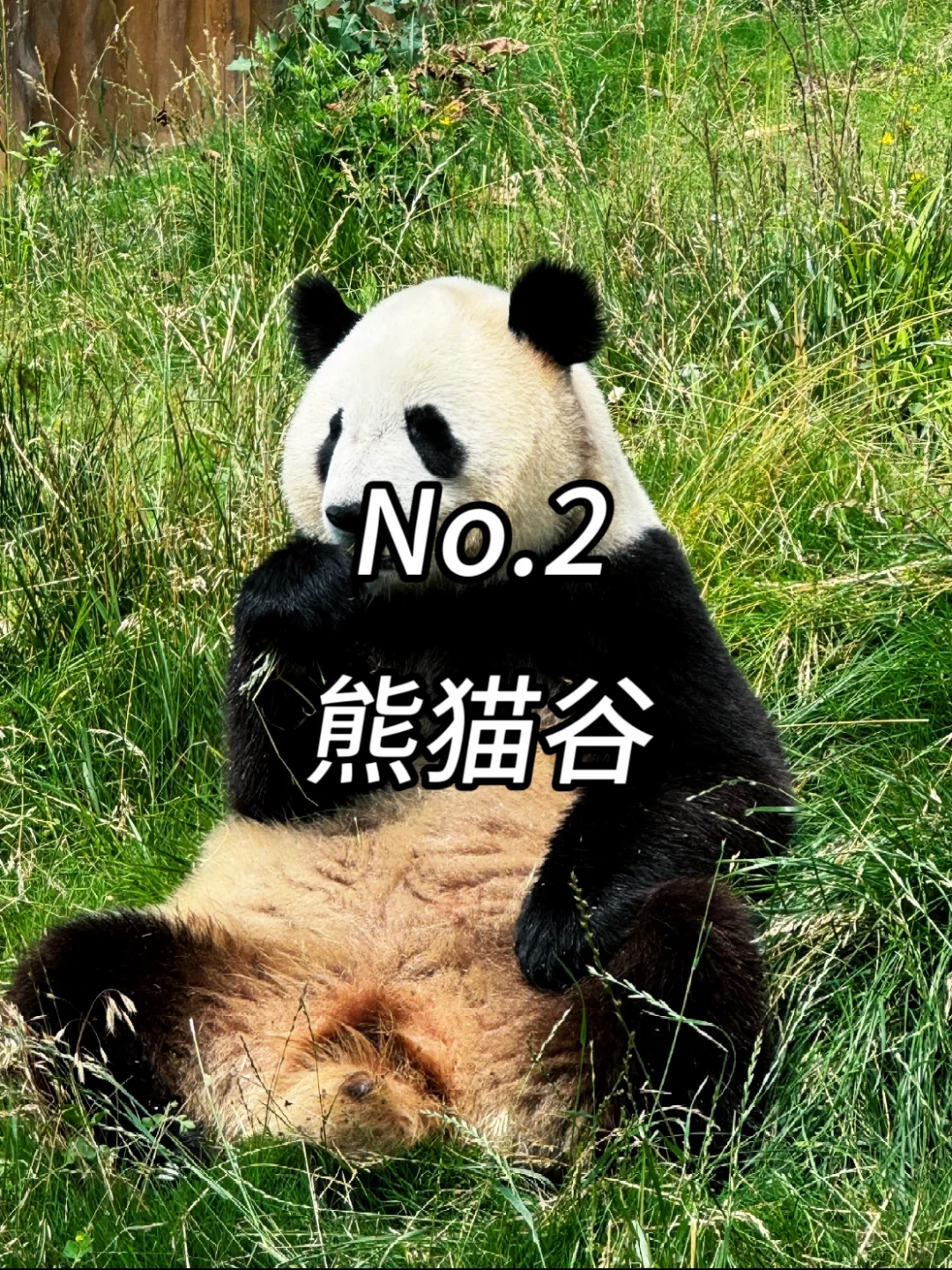 汉中必打卡九个景点！！