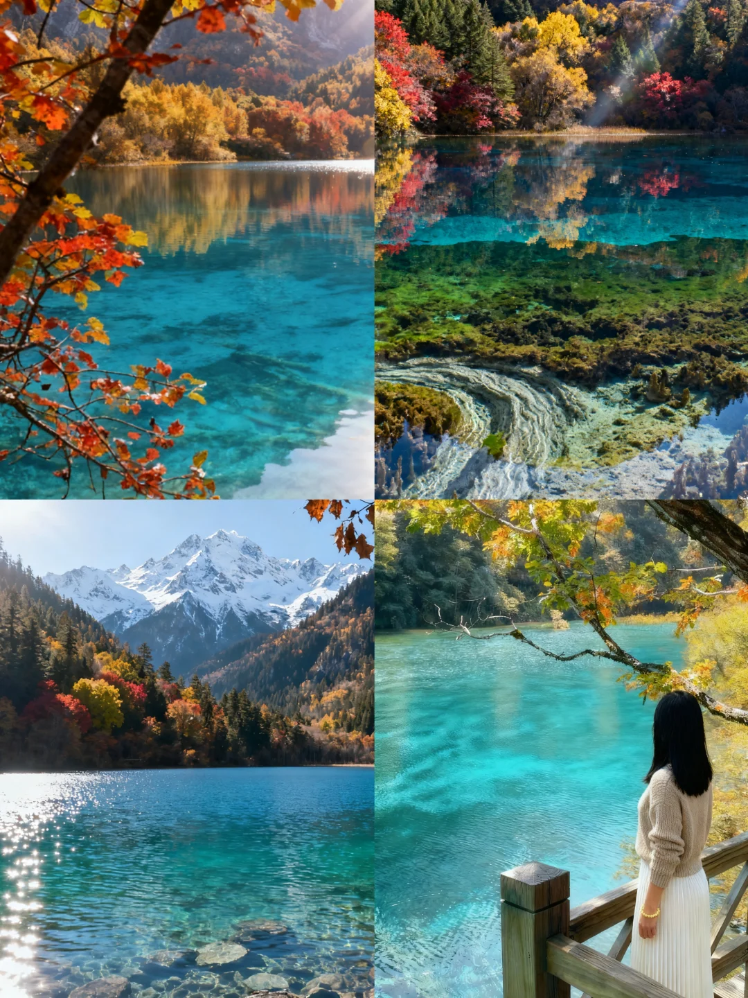 九寨沟秋日限定路线‼️五彩斑斓机位分享