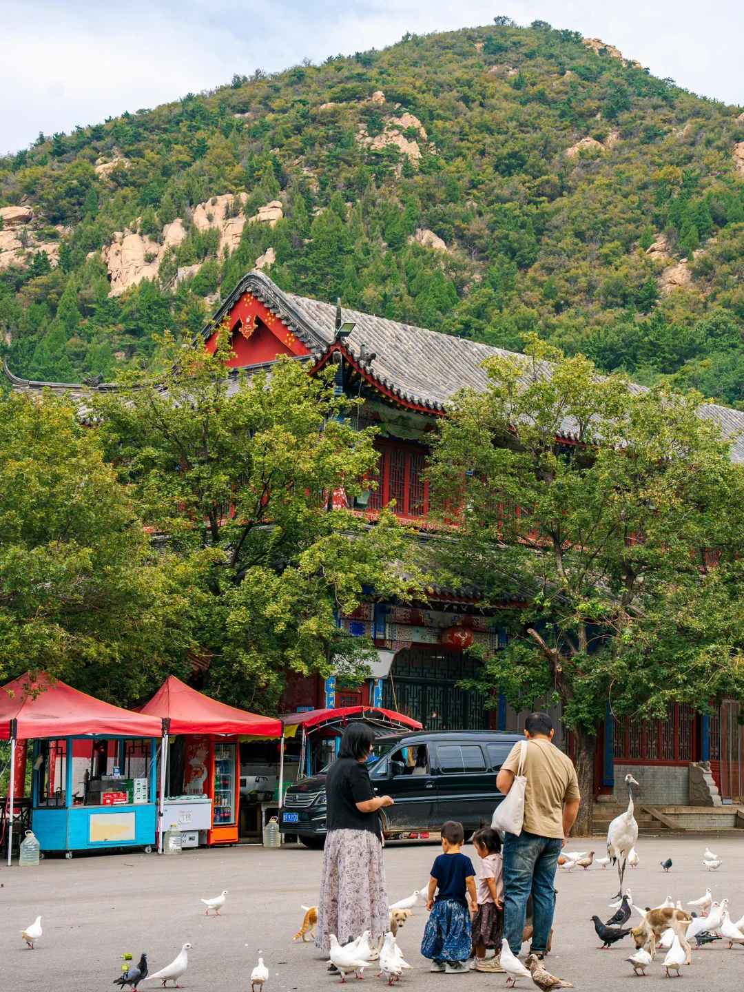 爆肝整理📝烟台🔟个宝藏登山地，绝美