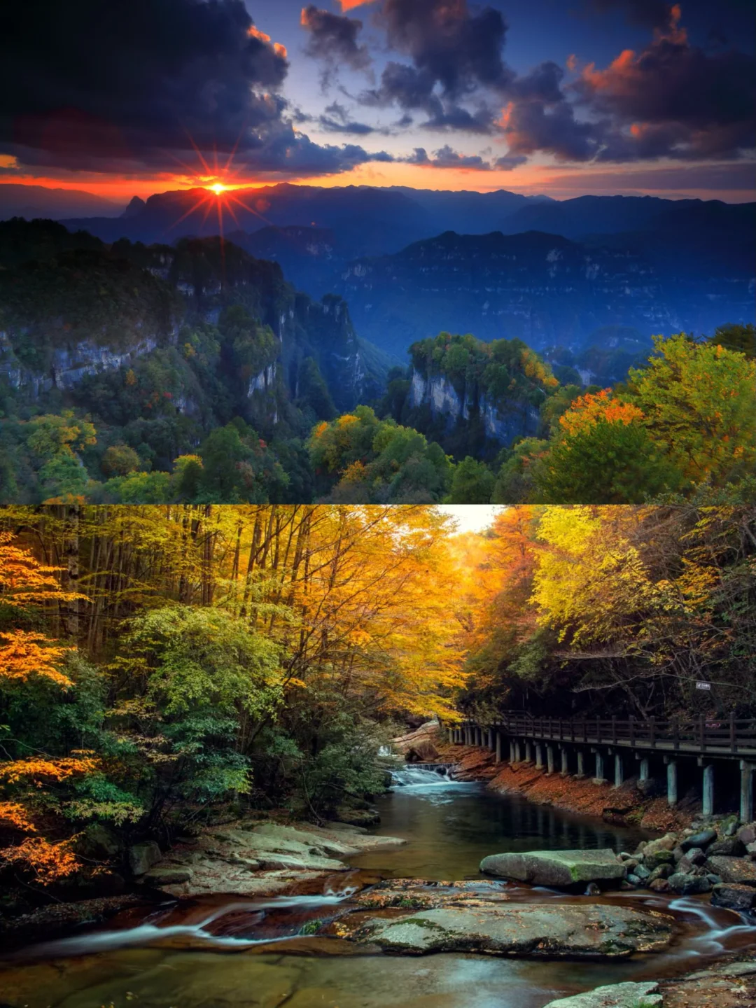 光雾山红叶🍁全攻略！看这一篇就够了