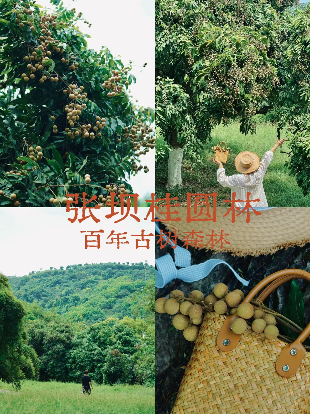 泸州游玩必打卡的九个景点推荐！（宝藏小城）