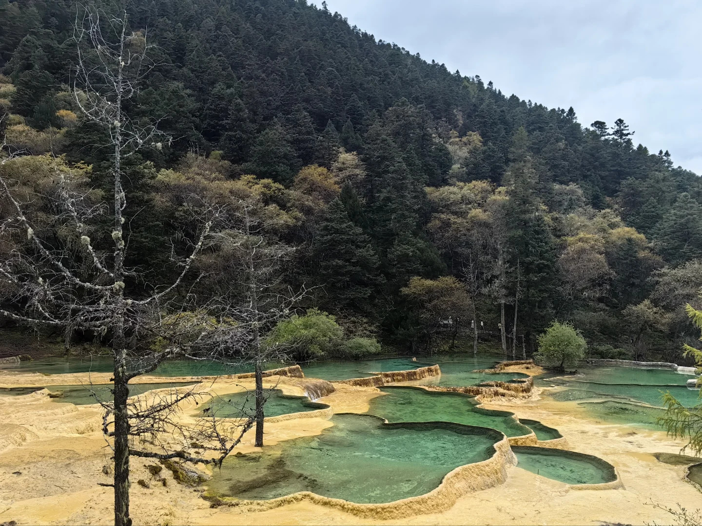 Day1黄龙风景区旅游攻略：黄龙归来不看池