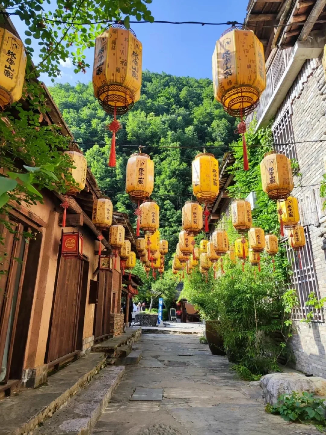 🌿商洛必去9大景点｜康养之都保姆级攻略