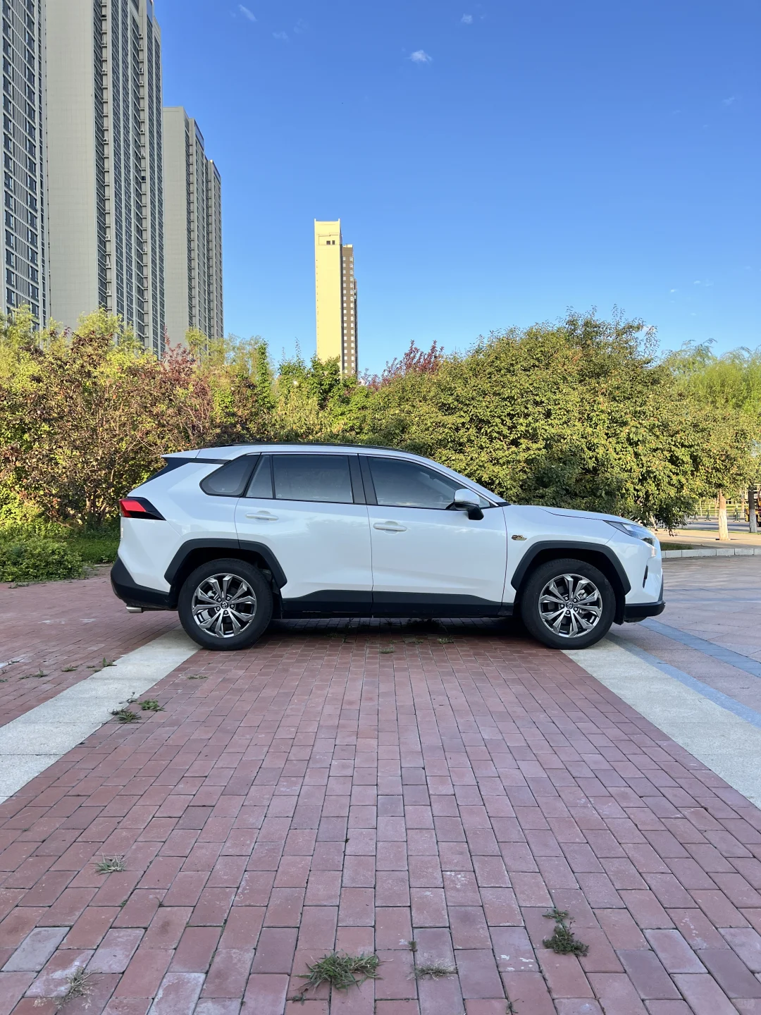 哈尔滨雪乡亚布力包车不用做攻略全程美景！