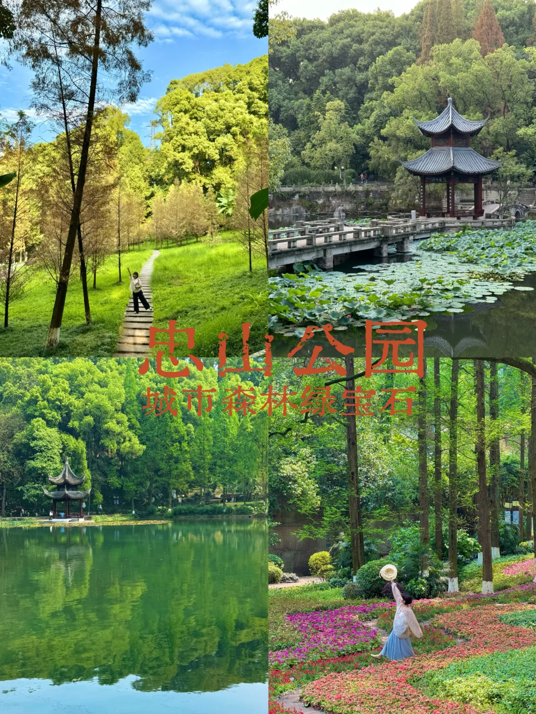 泸州游玩必打卡的九个景点推荐！（宝藏小城）