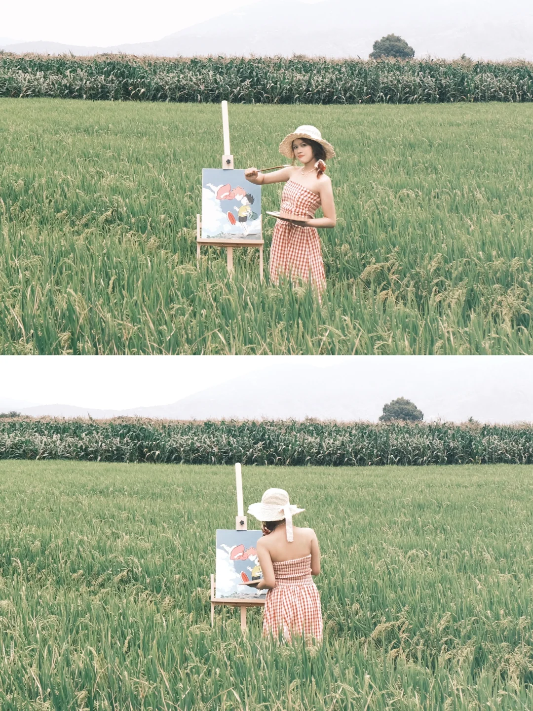 纯玩不报团不踩雷！！云南七天七晚旅游攻略🧾