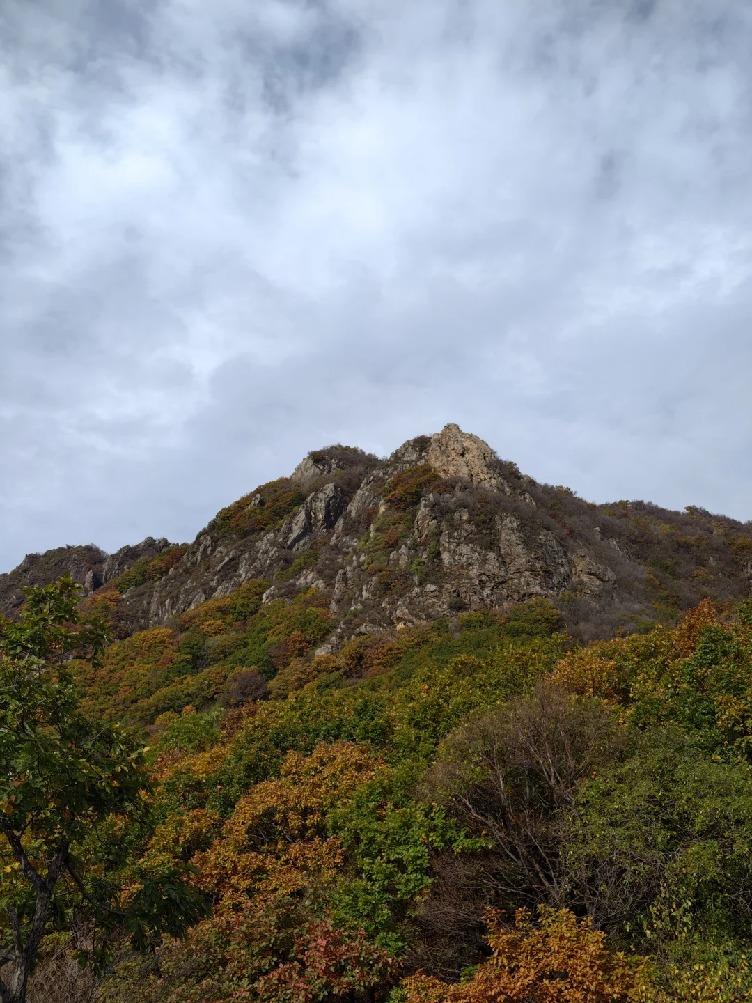 京秋必冲！北京百瑞谷藏着绝美云海与彩林，
