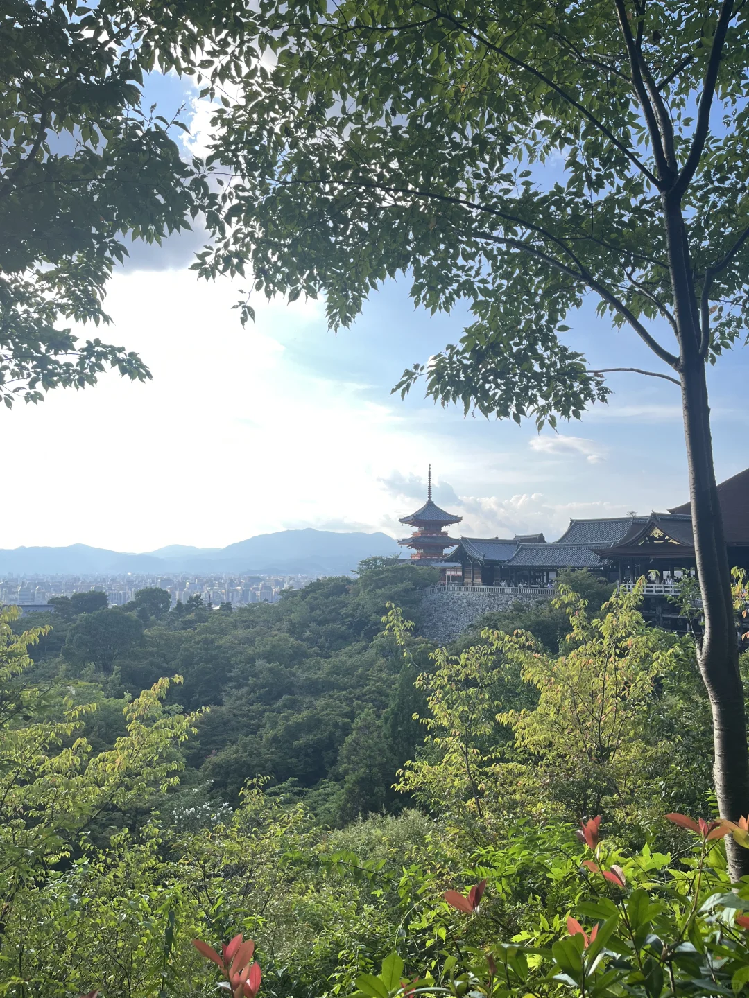 研0首次出国7天6晚一人关西之旅|附攻略开销