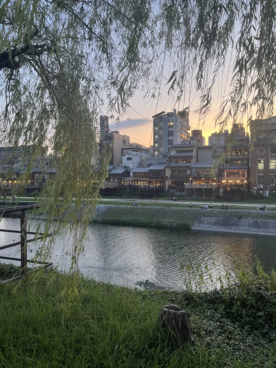 研0首次出国7天6晚一人关西之旅|附攻略开销