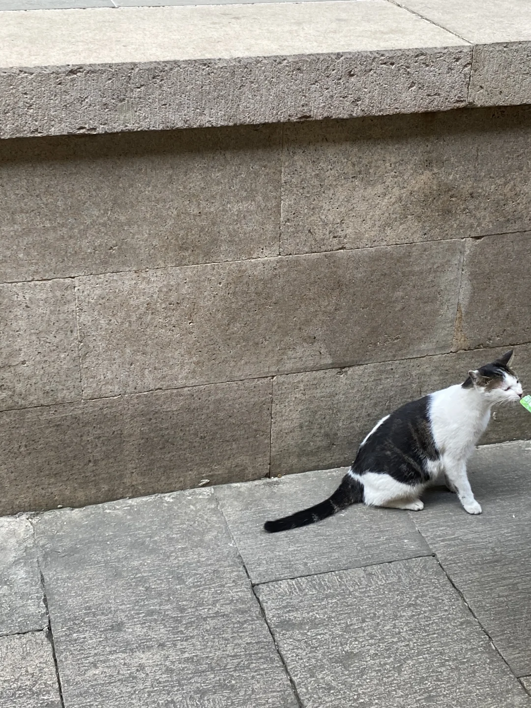 上海苏州往返一日游之放空