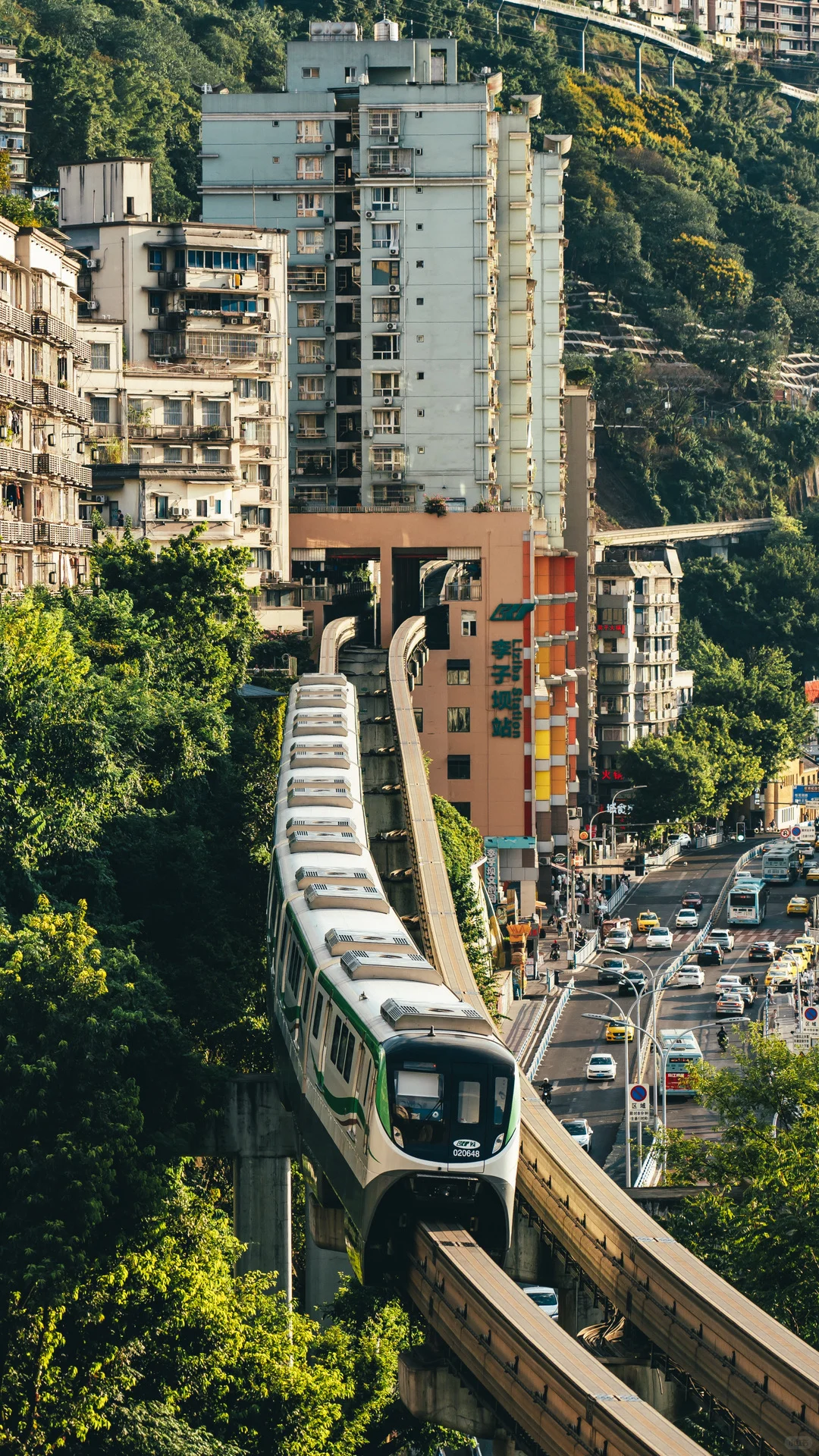 为了这1️⃣8️⃣张照片，我特意飞了一趟重庆
