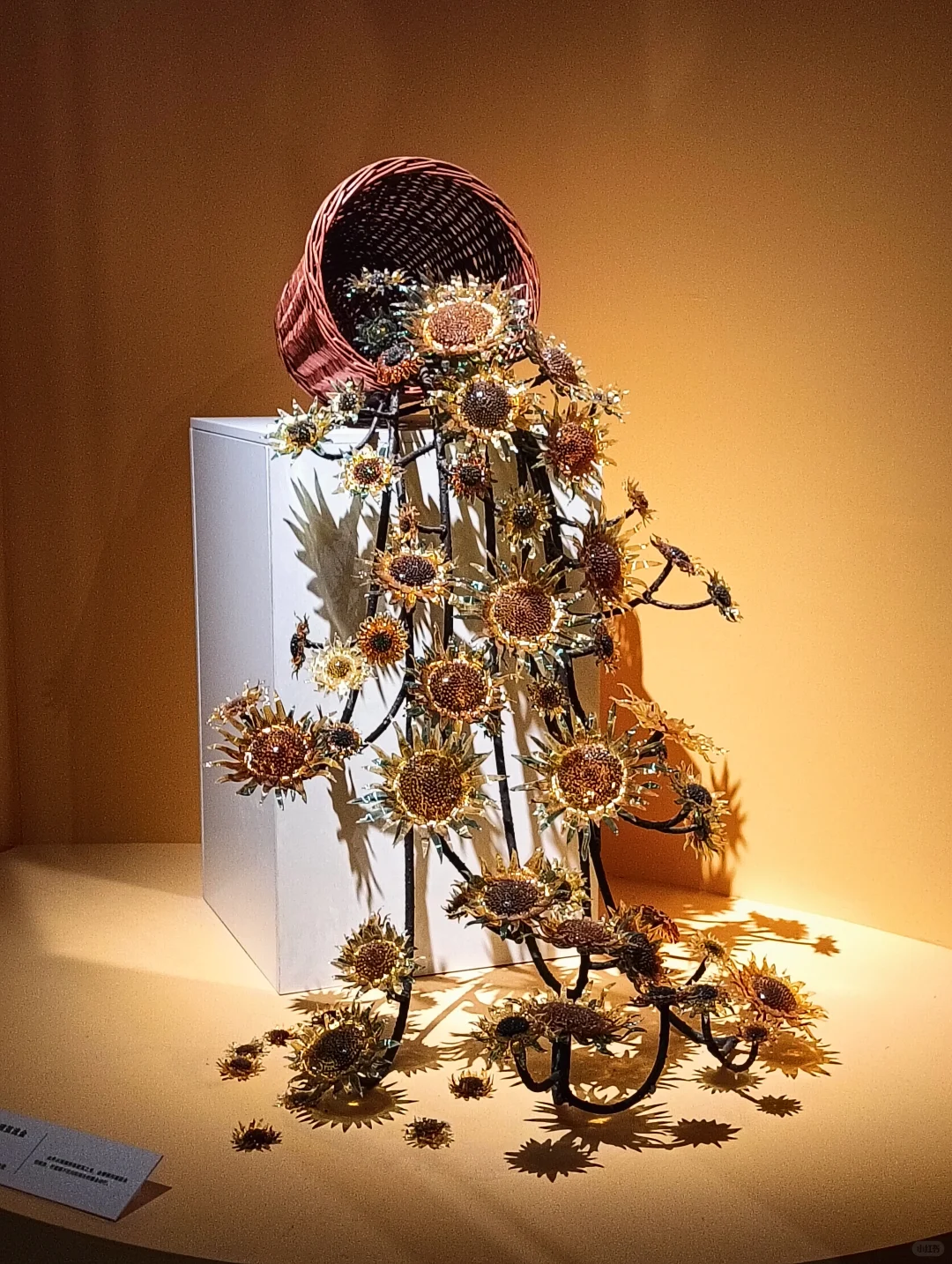 去北京后，不再要相信所谓的特种兵旅行了