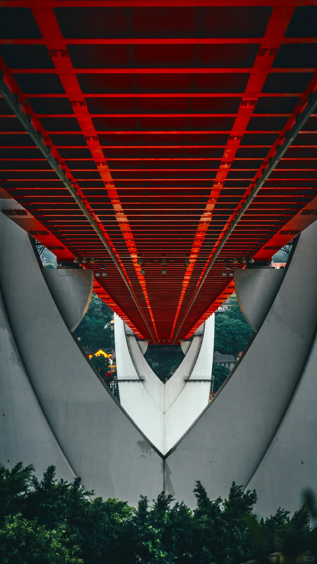 为了这1️⃣8️⃣张照片，我特意飞了一趟重庆