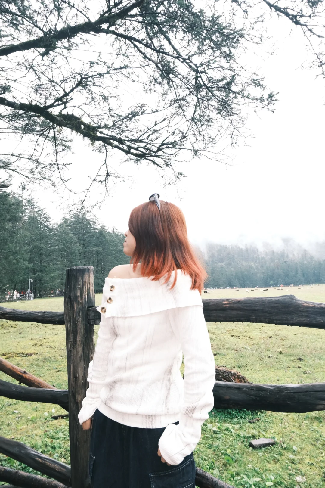 纯玩不报团不踩雷！！云南七天七晚旅游攻略🧾