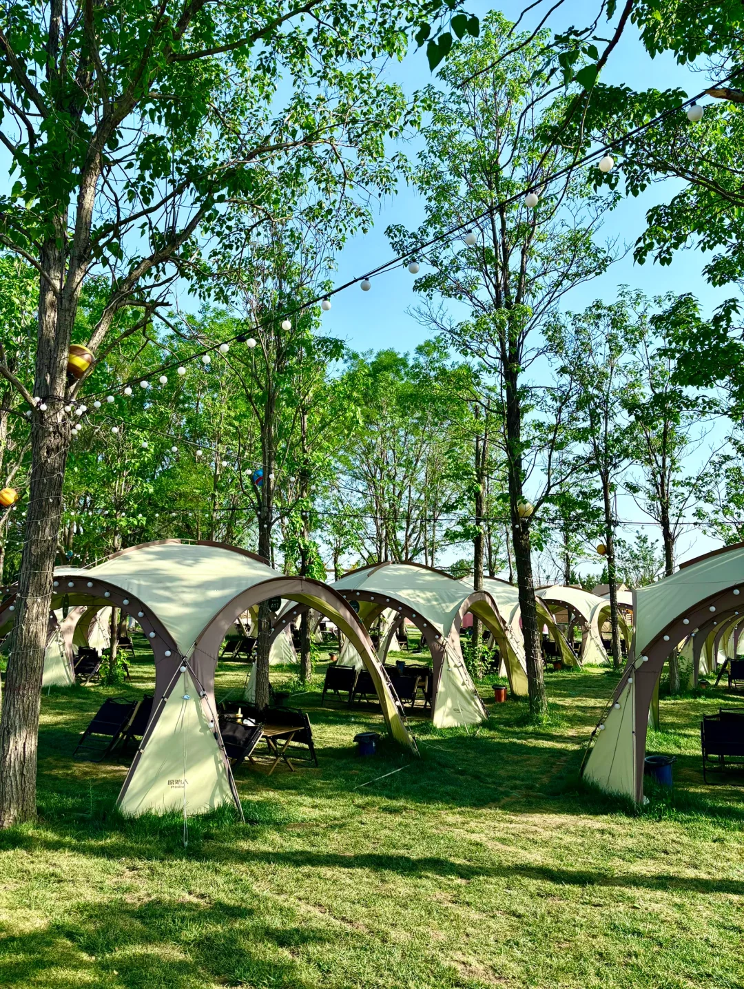 一站式遛娃宝藏地🏕——邯郸🦌鹿尔花园