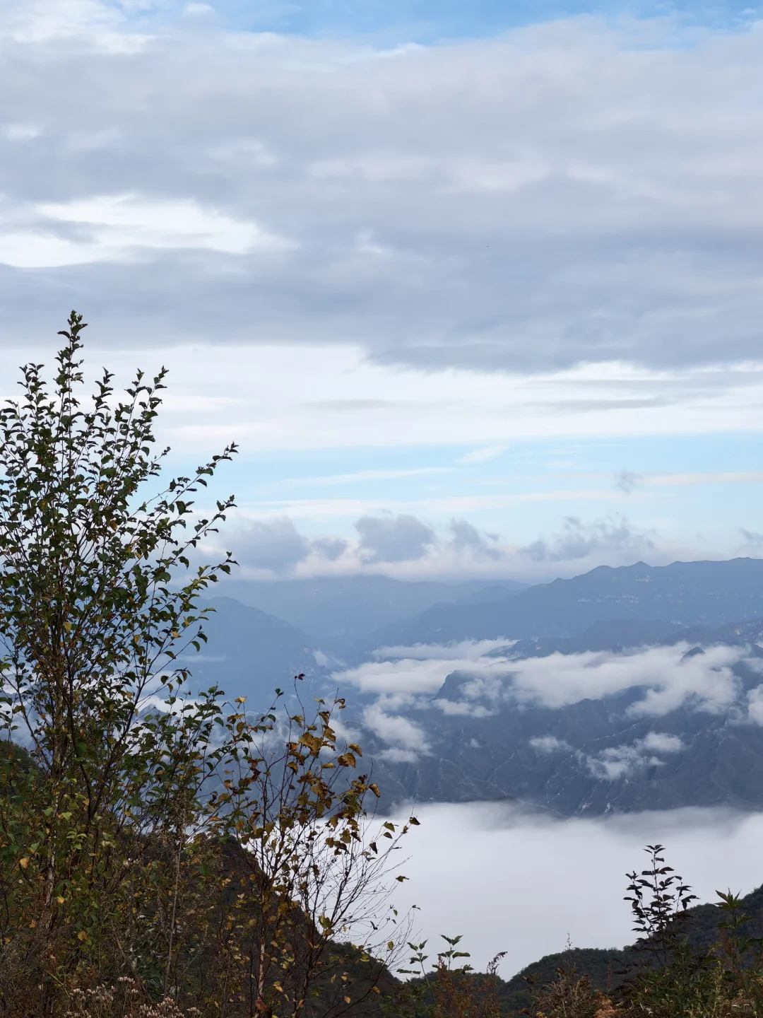 京秋必冲！北京百瑞谷藏着绝美云海与彩林，