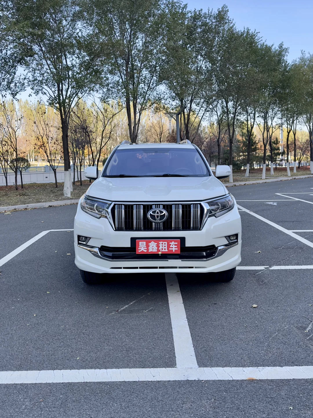 哈尔滨雪乡亚布力包车不用做攻略全程美景！