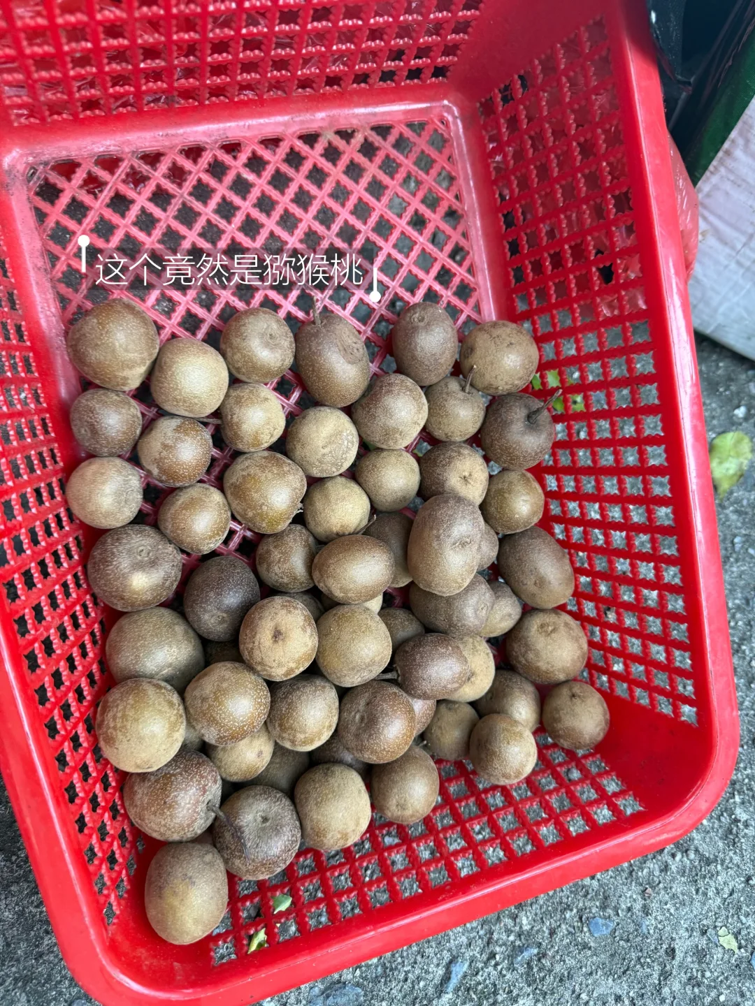 湖南人嘴真严❗️这么美的5A景区竟然没啥人！