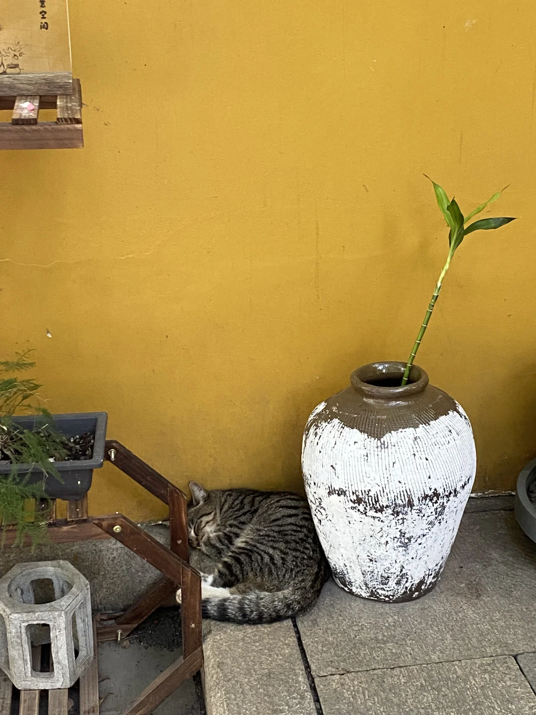 上海苏州往返一日游之放空