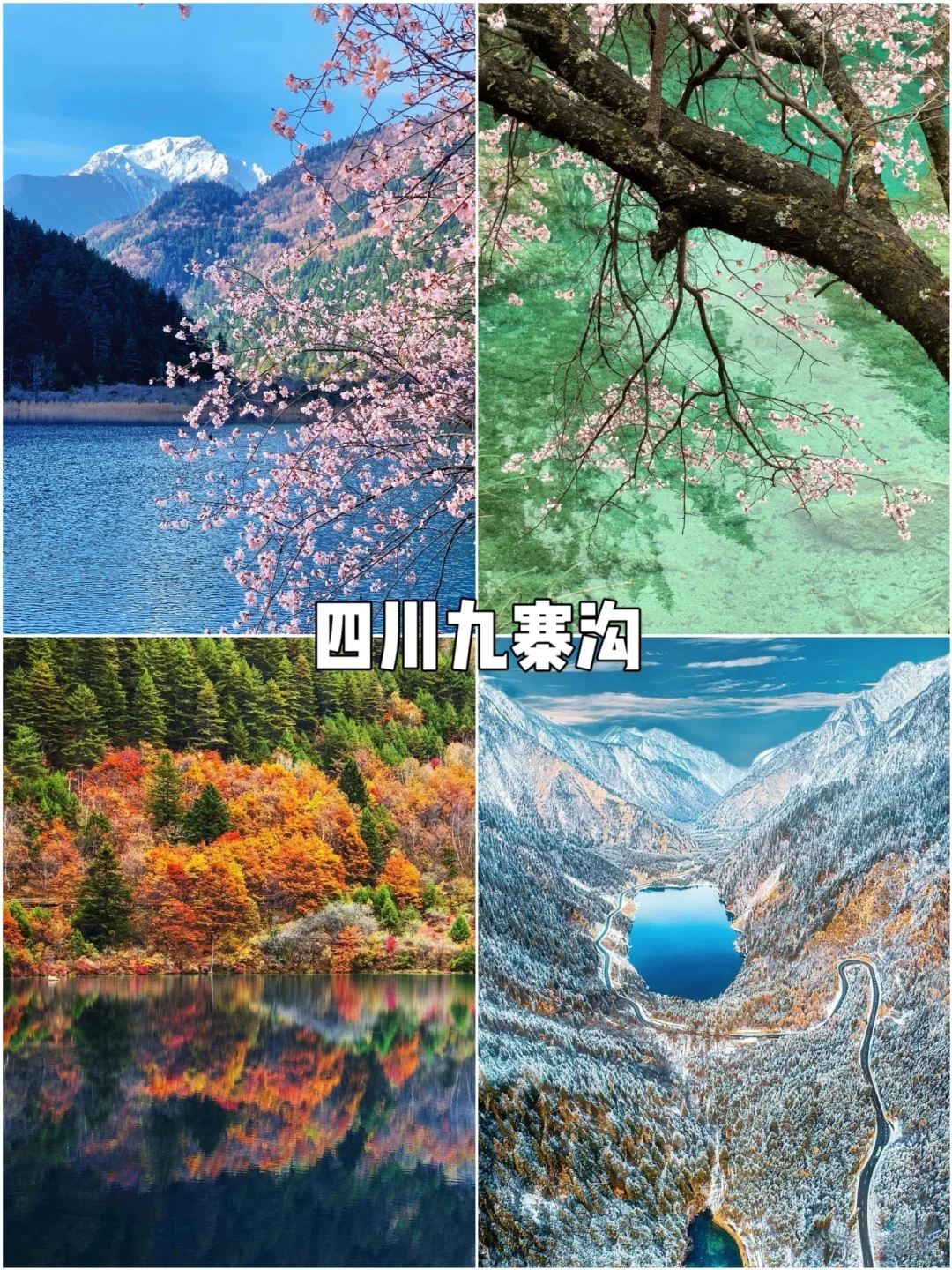 中国十大风景名胜地