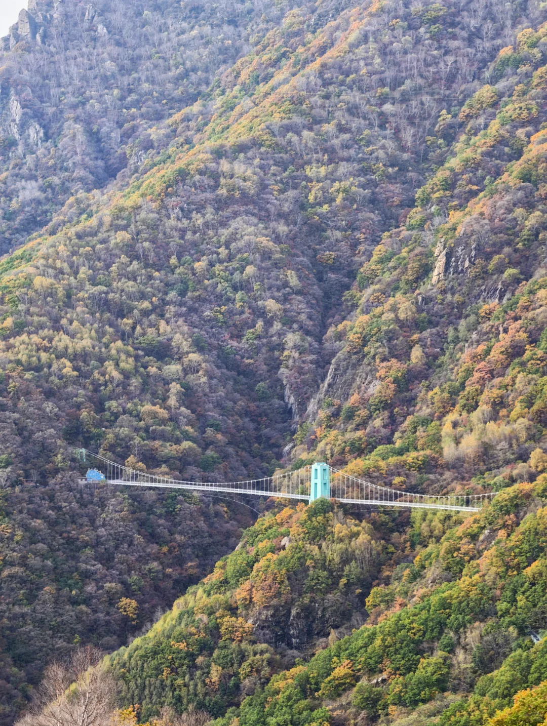 京秋必冲！北京百瑞谷藏着绝美云海与彩林，