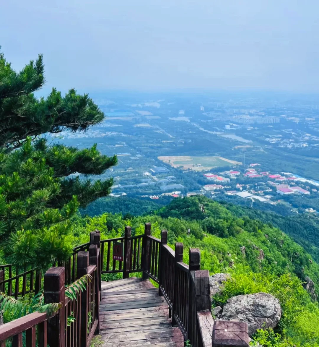 蟒山国家森林公园｜没苦硬吃的蟒山一爬