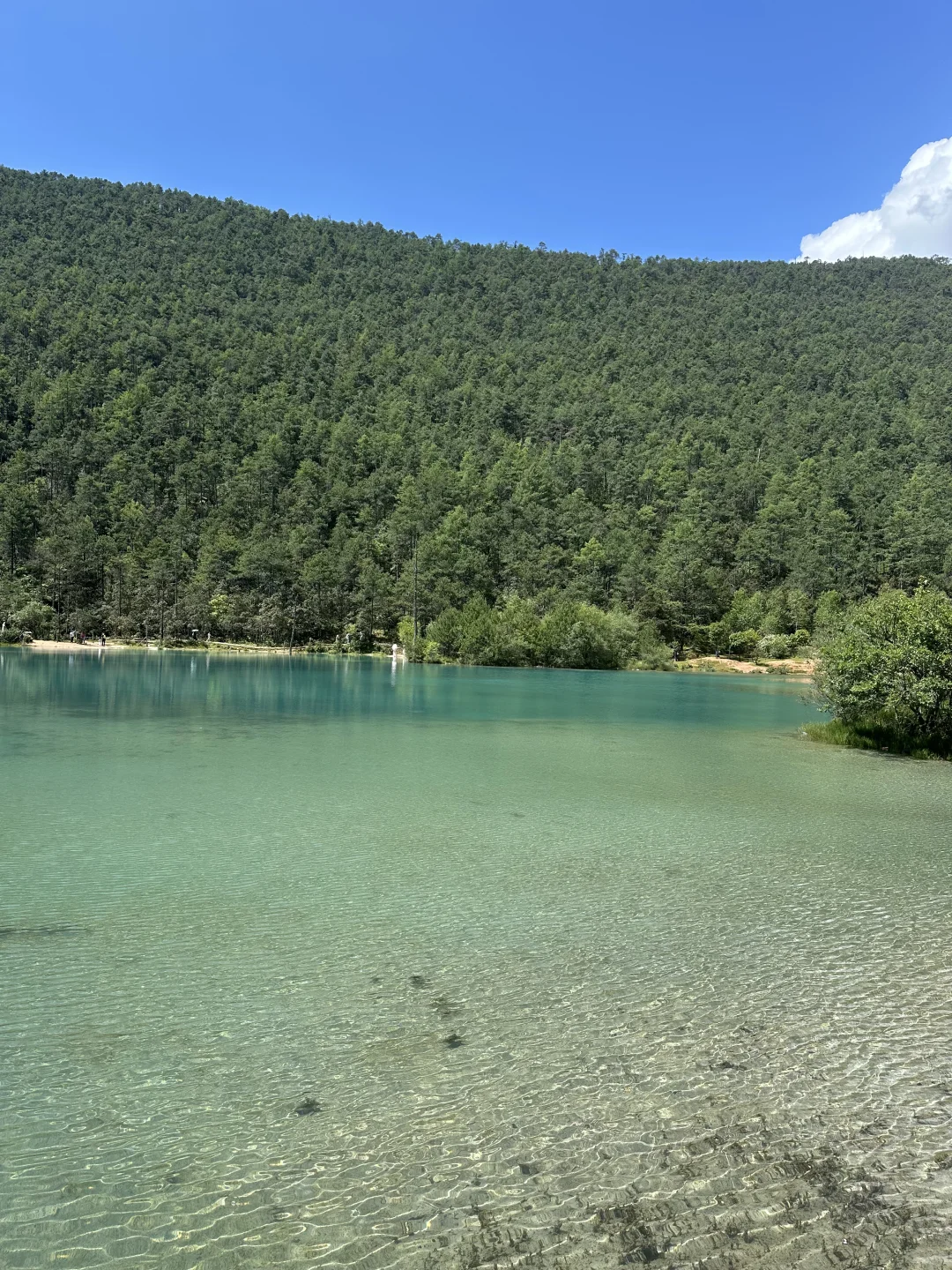 云杉坪➕蓝月谷➕玉龙雪山一日游攻略