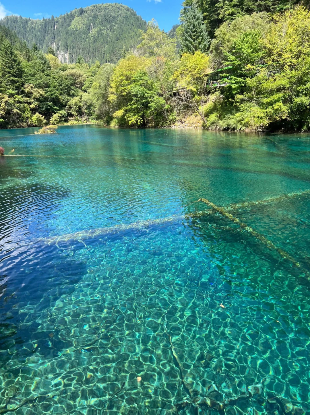 九寨沟超全时间表🔥看这篇就够啦