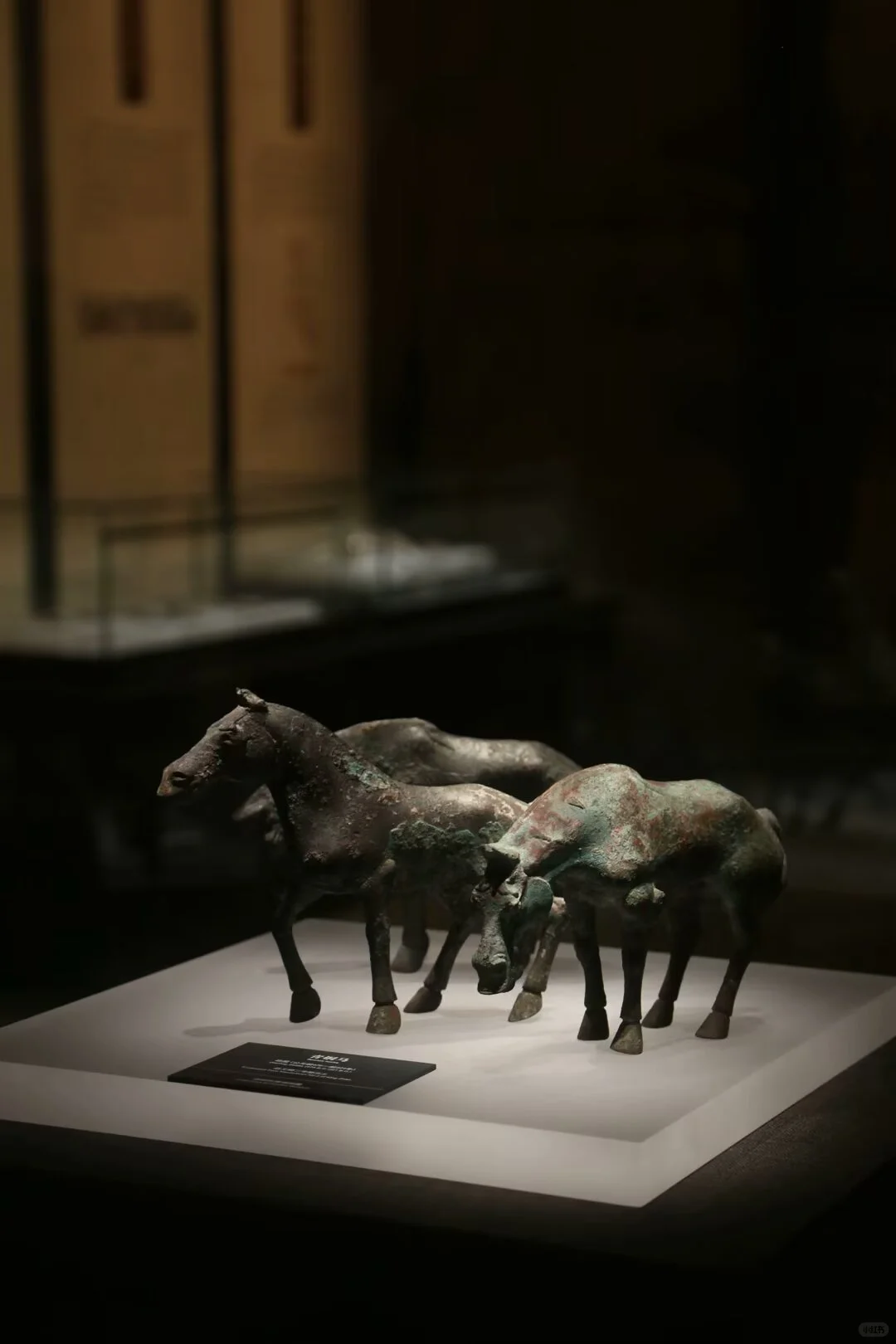 邯郸24小时极限挑战！🏯附超详细攻略