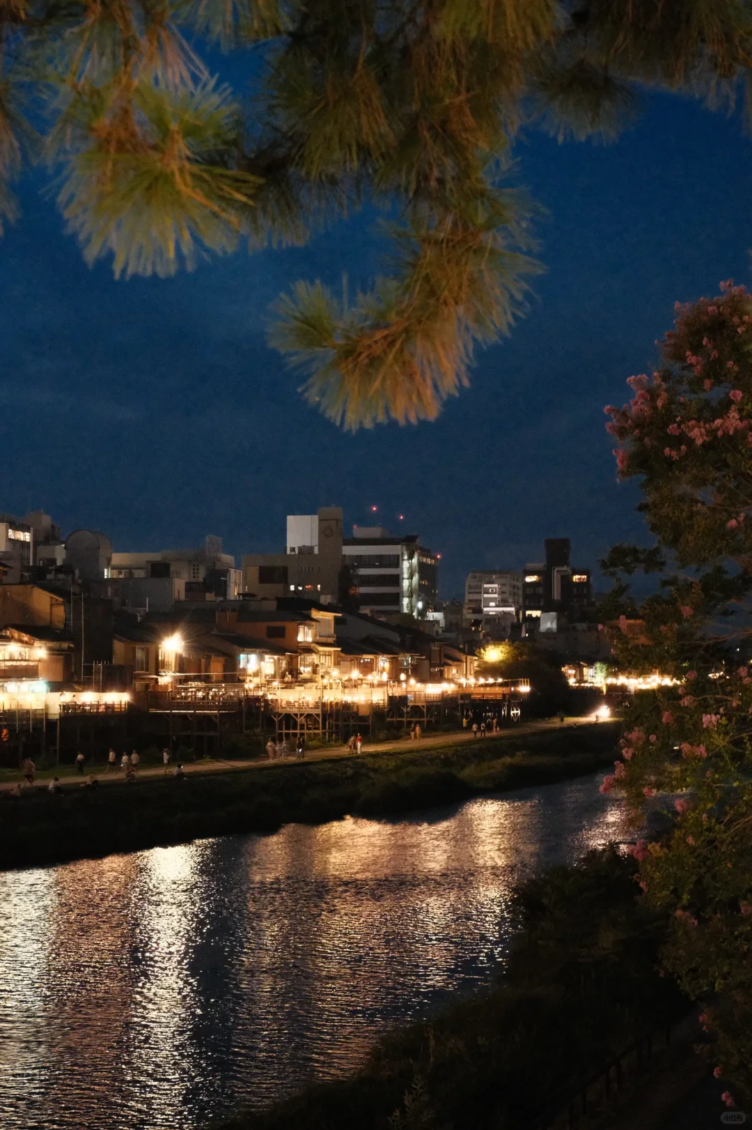 看似chill实则半天跑了四个景点的Kyoto