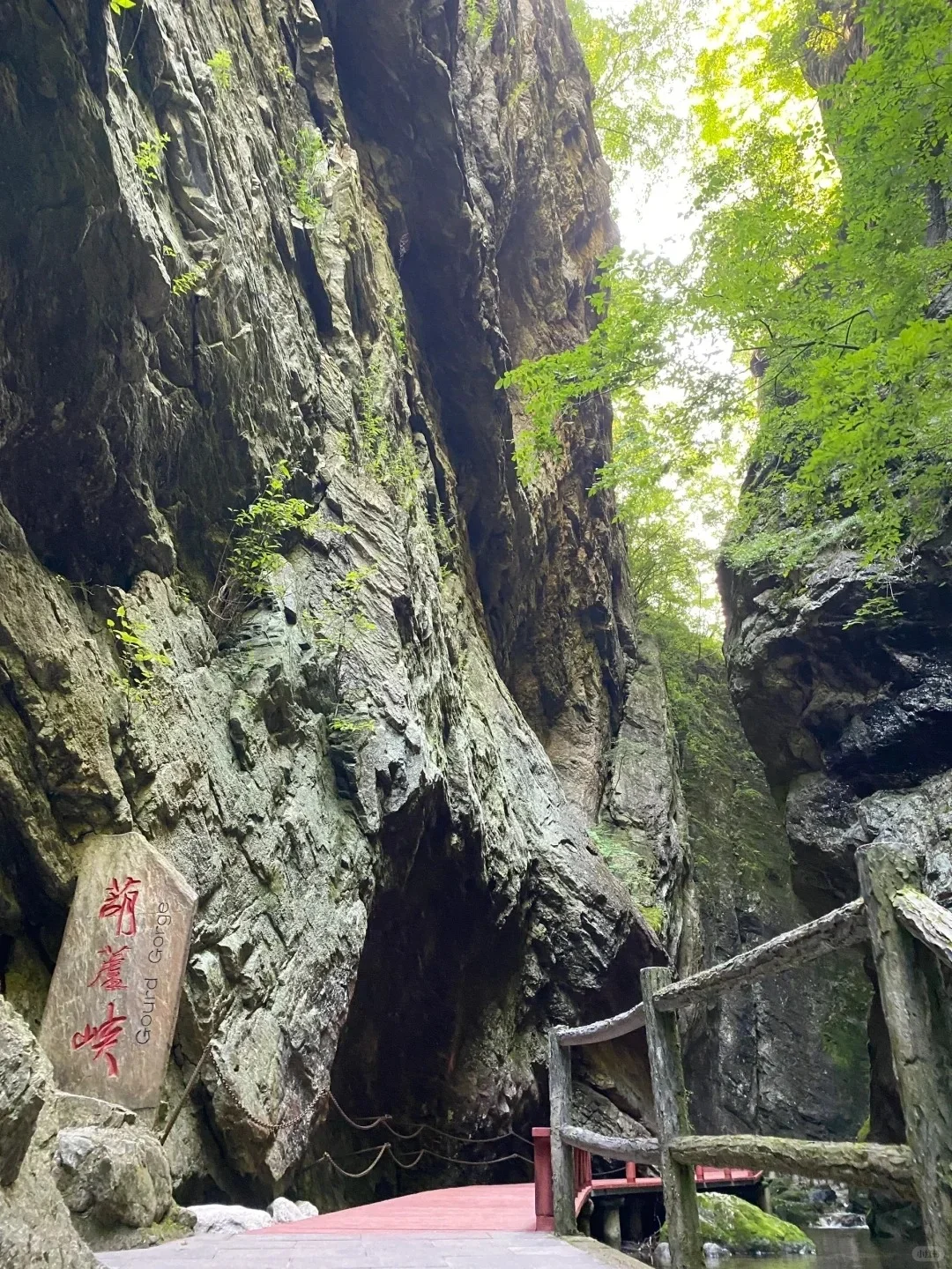 🌿商洛必去9大景点｜康养之都保姆级攻略