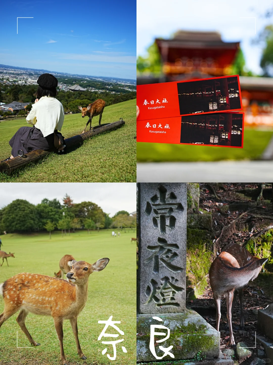 日本自由行8天7晚(已回)| 快来抄作业~!