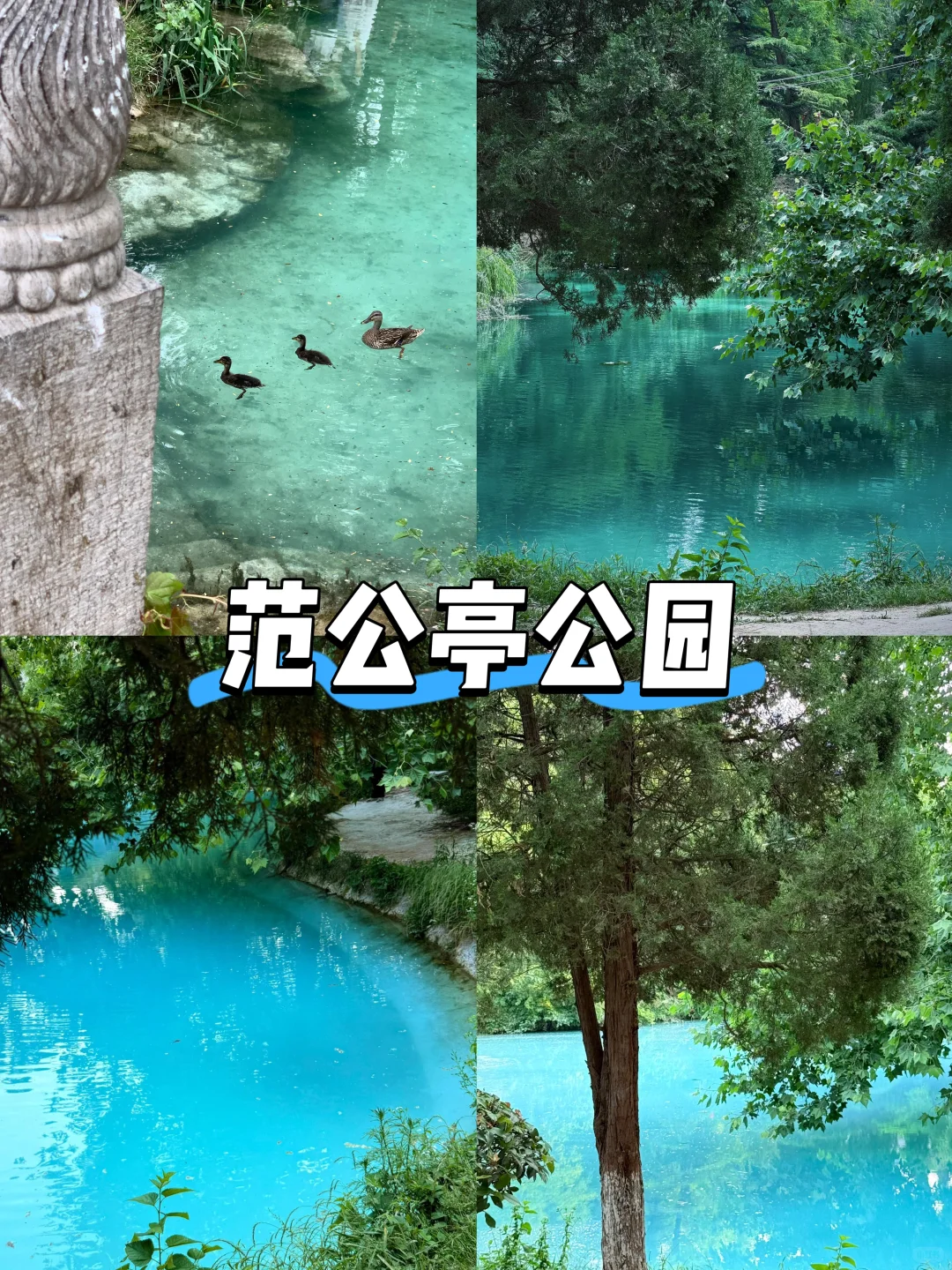 【山东篇-潍坊】“重新认识一下这座城市”